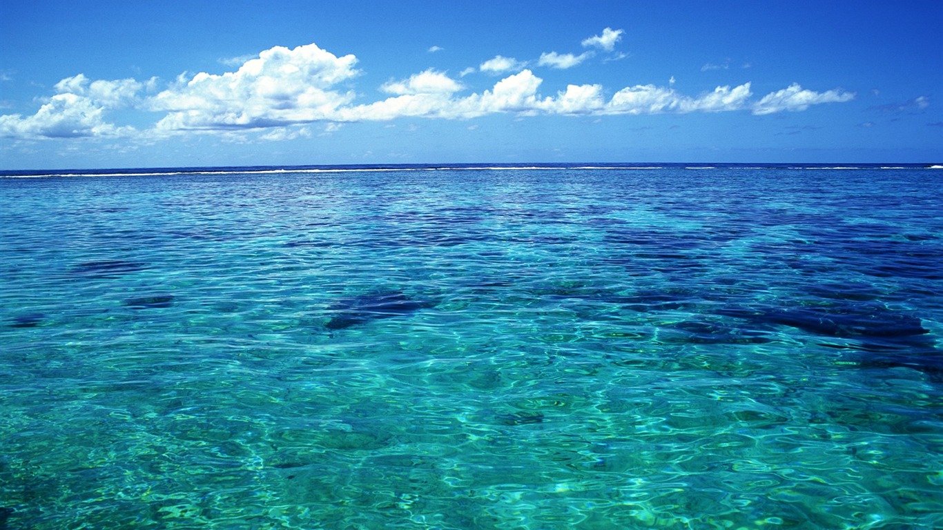 海水 海水