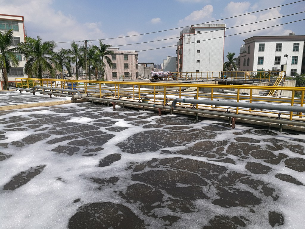 屠宰場廢水微生物茄子小视频免费黄色